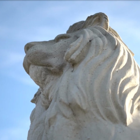 Worm's-eye view of lion statue against a blue sky