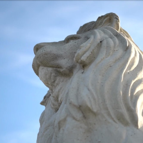 Worm's-eye view of lion statue with blue sky in background