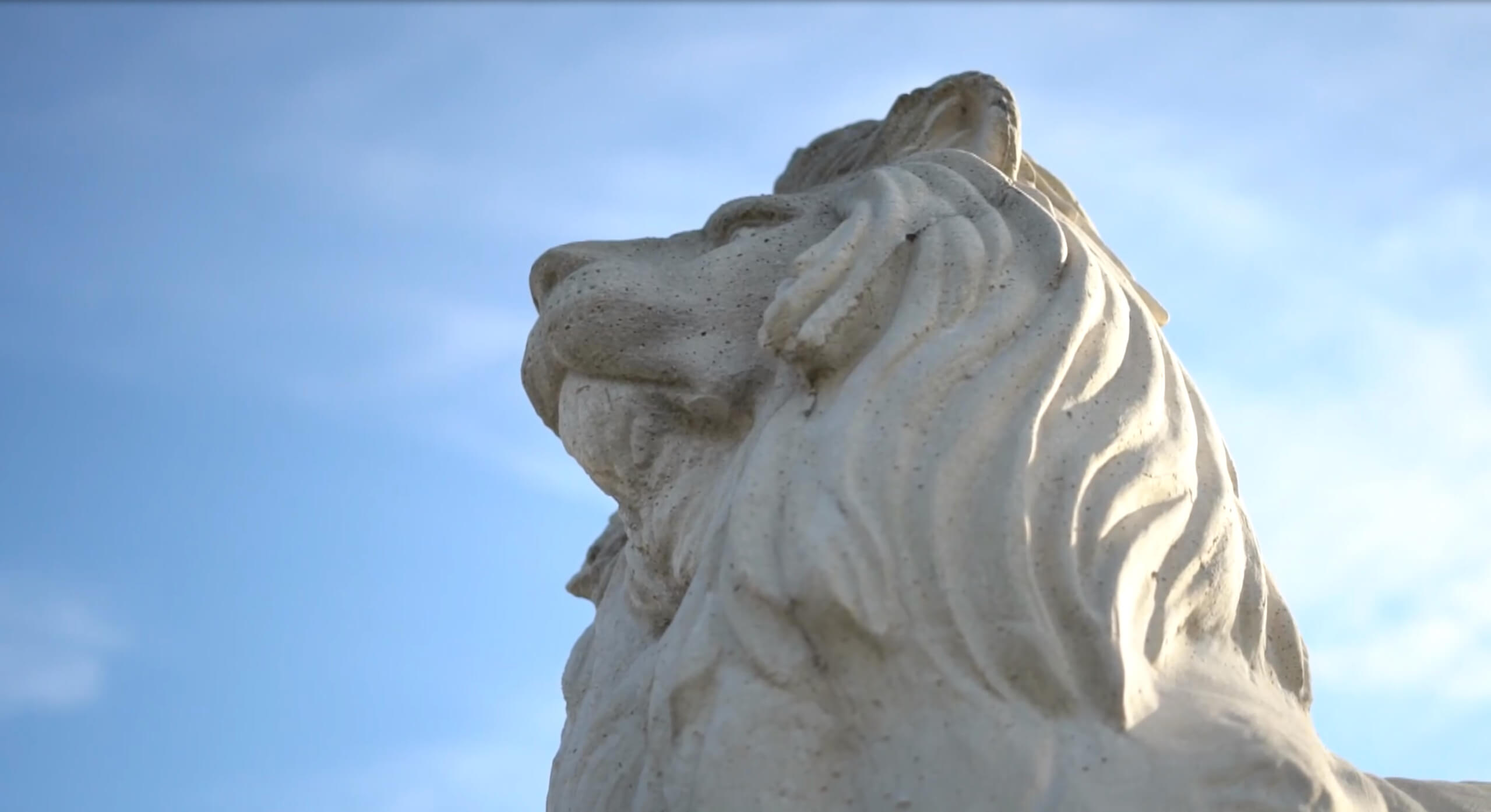 Worm's-eye view of lion statue with blue sky in background